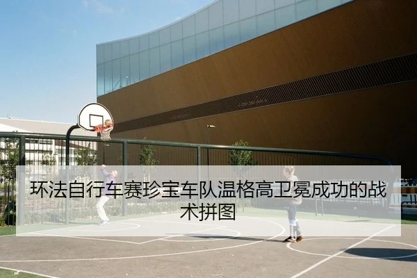 环法自行车赛珍宝车队温格高卫冕成功的战术拼图